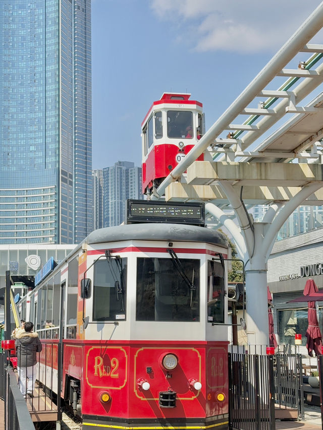 부산에서 꼭 해야할 액티비티 블루라인파크 스카이캡슐 열차🚃