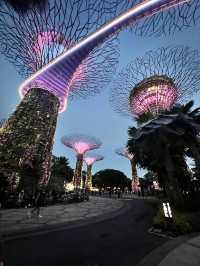 How to spend a day in Singapore 🩷