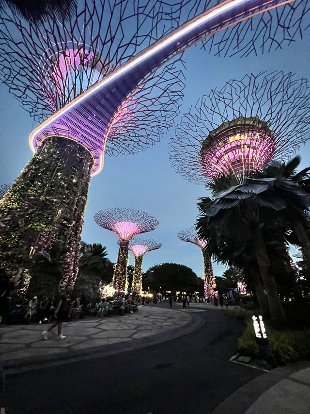How to spend a day in Singapore 🩷