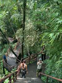 🌿 Rainforest Hiking Near Bangkok — So Much Fun I Could Burst!