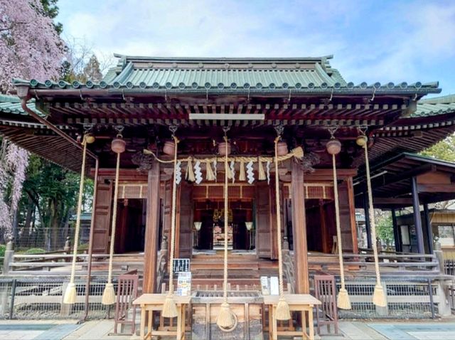 漫步在石鳥居與紅神橋的春櫻時光---仙台東照宮