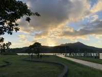 社子島島頭公園｜台北市區的濕地秘境，270度河景與生態交響的完美融合 
