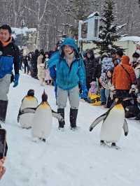 Asahikawa Winter Escape: Snow Sculptures, Penguins & Private Onsen Bliss