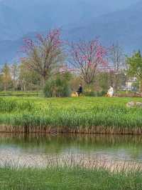 Tranquil Waters & Soft Light: A Spring Escape to Longkan Wharf