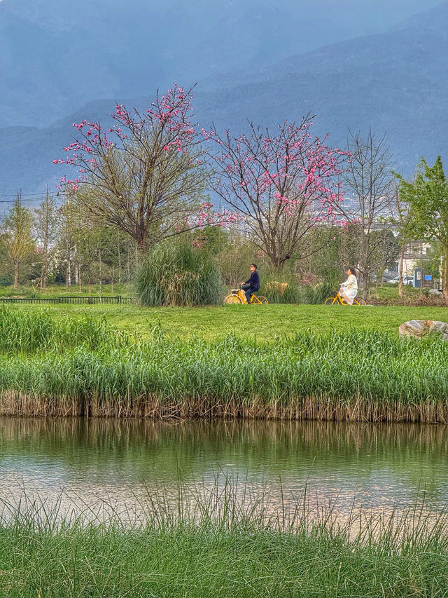 Tranquil Waters & Soft Light: A Spring Escape to Longkan Wharf