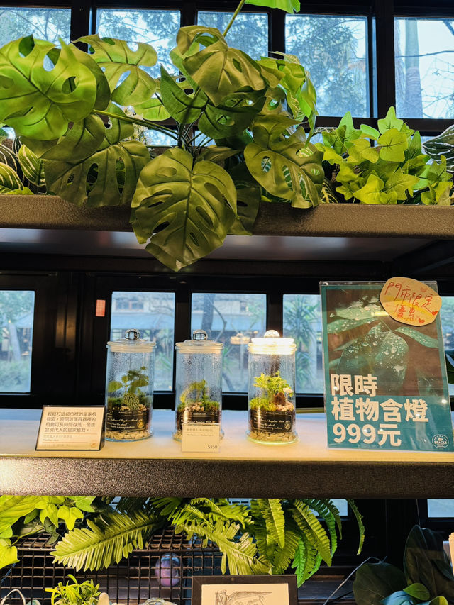 Mini Museum or Gift Shop?