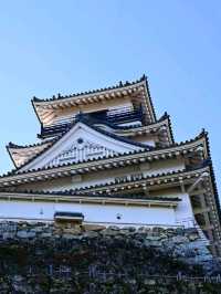 Kochi Castle Is a Hidden Treasure