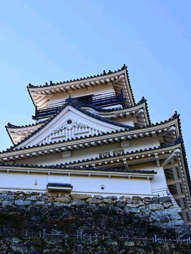 Kochi Castle Is a Hidden Treasure