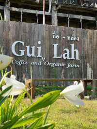 กื่อหล่อง GUIQ LAHQ – คาเฟ่และโฮมสเตย์ในเชียงราย