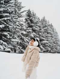 🇯🇵 Big Buddha Energy: One Peaceful Day in Hokkaido