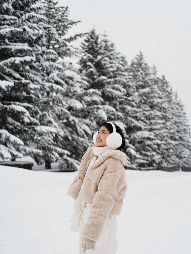 🇯🇵 Big Buddha Energy: One Peaceful Day in Hokkaido