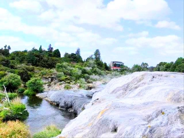 #波胡圖間歇噴泉Pohutu Geyser -紐西蘭羅託魯瓦