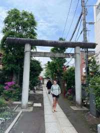 Hakone – Hot Springs, Heritage, and a View of Fuji