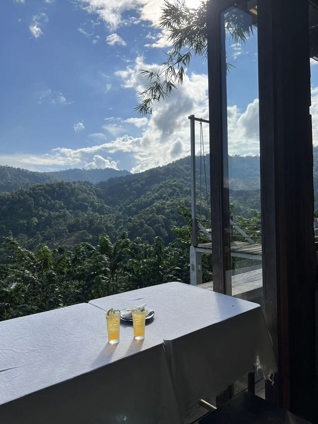 North Star Valley🌧️เชียงใหม่ฤดูฝน บับเบิลกลางป่า