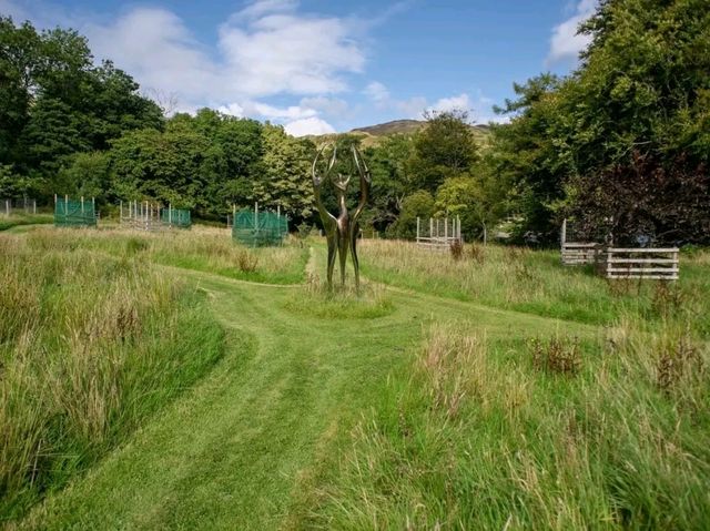 Kilchoan Gardens – Where Nature Meets Art in Argyll