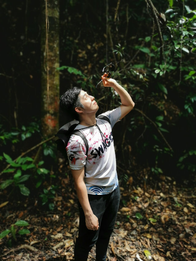 【Sebako Waterfall：穿越雨林，只為一場瀑布盛宴】 🌿🌊⛰️