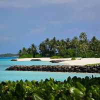The Ritz-Carlton Maldives: A Luxurious Escape in Paradise