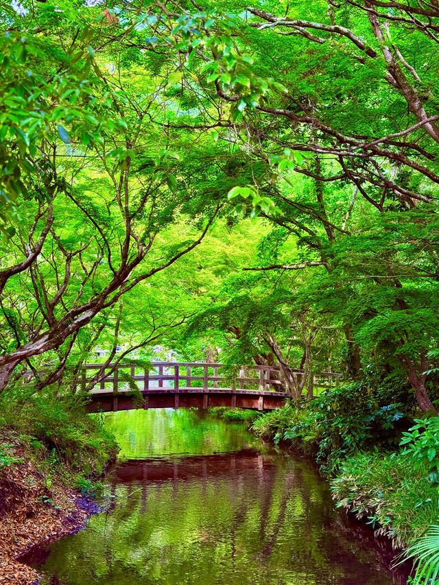 金鱗湖