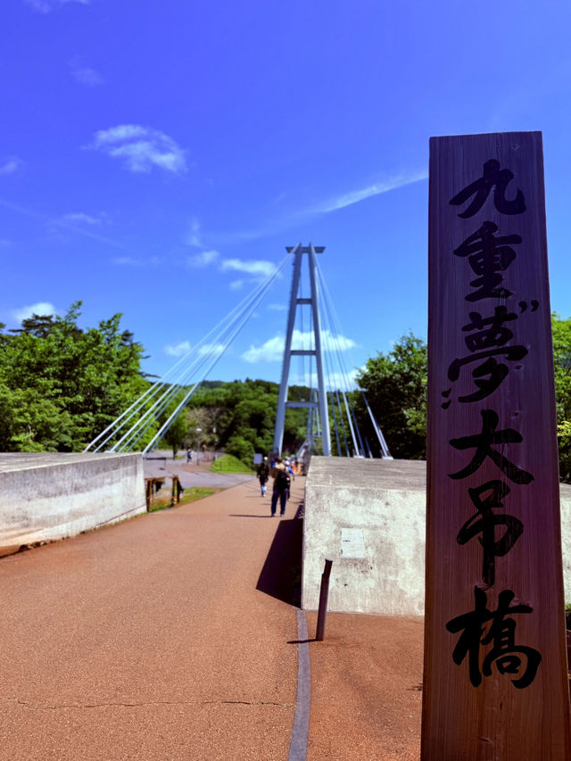穿越僻靜山谷的高空吊橋