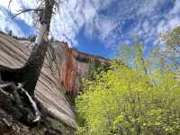 Zion National Park, Utah – Where Canyons Touch the Sky