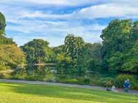 The Rainforest at Singapore Botanic Gardens – A Walk Through Ancient Nature