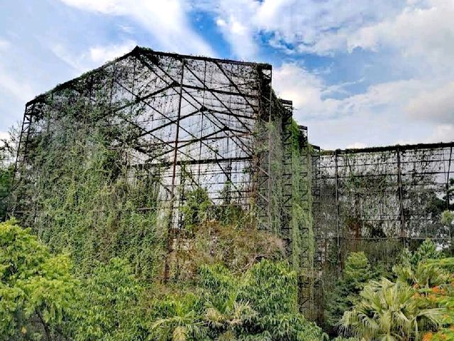 端午節好去處泗水動物園