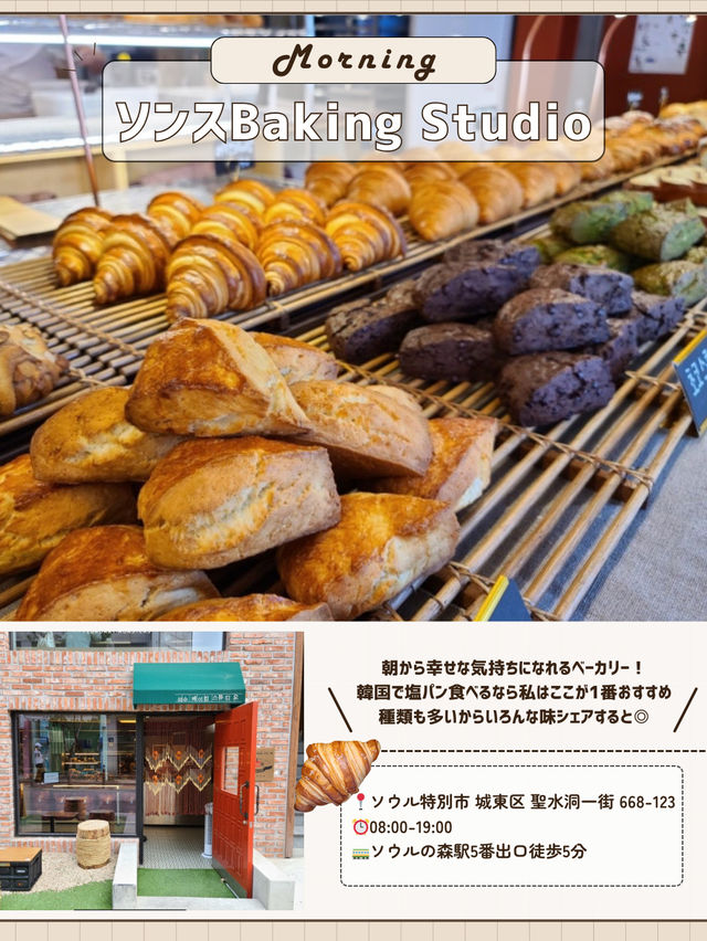 🇰🇷🌳ソウルの森で1日！穴場巡り編✨