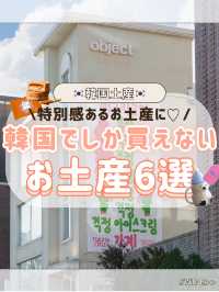 🇰🇷🛍️韓国でしか買えないお土産✨