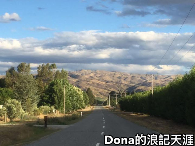 📍紐西蘭南島。Cromwell | 不能錯過的紐西蘭果園小鎮