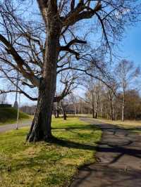 MAKOMANAI PARK.