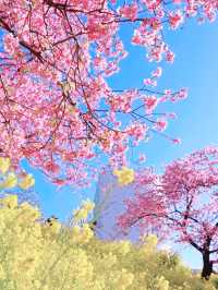 A Botanical Daydream in Bloom at Makino Park