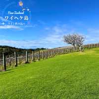 【NZ】🍷ワイヘケ島ワイナリー巡りと、虹と映画に出会えた一日🌈