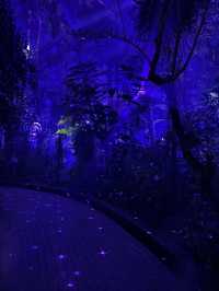 【京都】幻想的な光と音に包まれる植物園へ