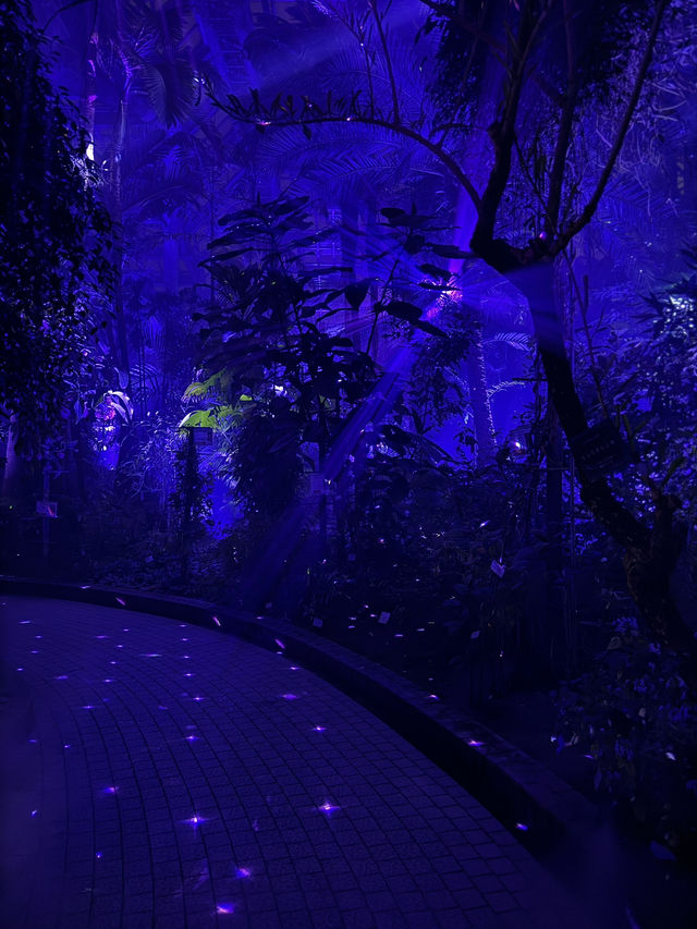 【京都】幻想的な光と音に包まれる植物園へ