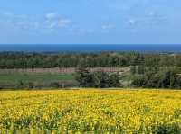 北海道道東🇯🇵 世界自然遺產