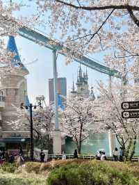 Seoul’s Secret Spring Kingdom – Castle & Blossoms