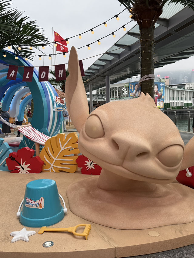 史迪仔隆重登場😍海港城必影😌