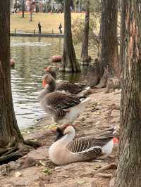 周末親子遊樂好去處——珠海海濱公園