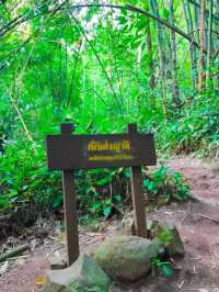 เดินป่าหน้าฝน อุทยานแห่งชาติภูสอยดาว อุตรดิตถ์