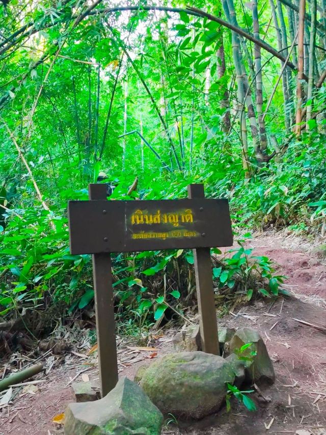 เดินป่าหน้าฝน อุทยานแห่งชาติภูสอยดาว อุตรดิตถ์