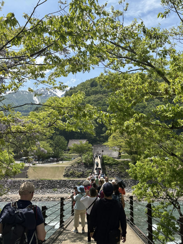 【岐阜県・白川村】世界遺産白川郷を巡ろう！