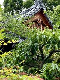 A Peaceful Day Strolling in Nagaokakyo