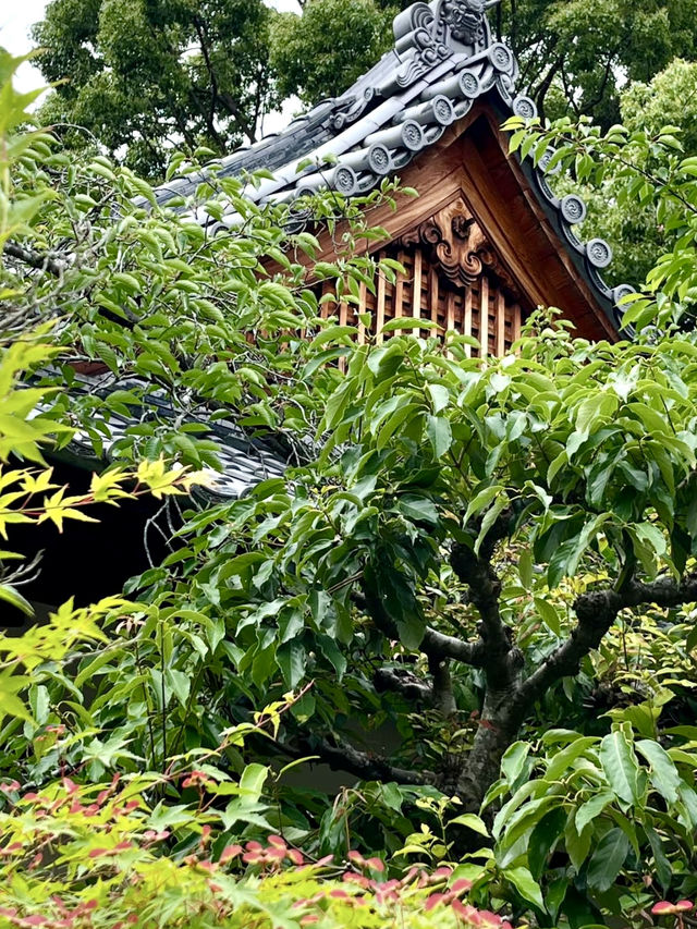A Peaceful Day Strolling in Nagaokakyo