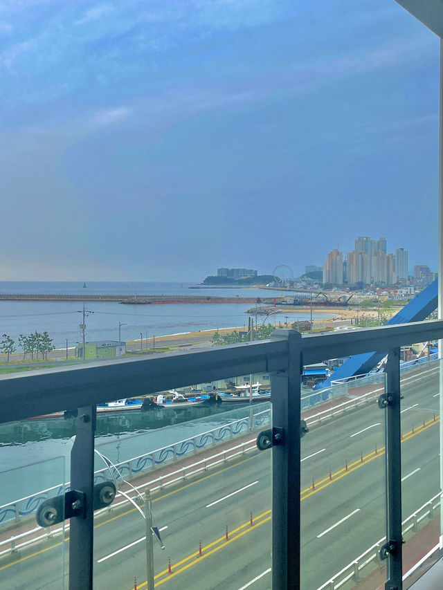 여름엔 시원하게 강원도 바다에서 힐링🌊🐳🐟