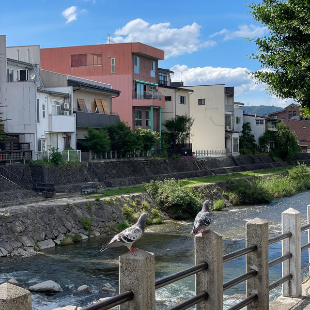 Takayama Day Trip Summary ✨