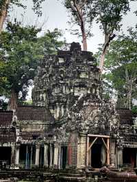 Ta prohm as tomb raider temple 