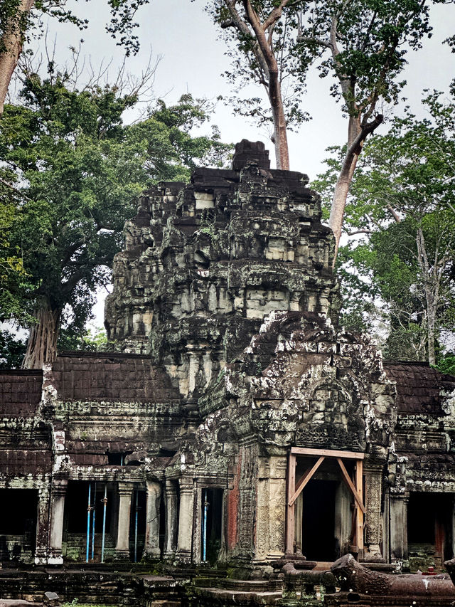 Ta prohm as tomb raider temple 