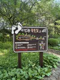 🌳 계절마다 아름다운 자연, 충북 산림환경연구소 (미동산수목원)