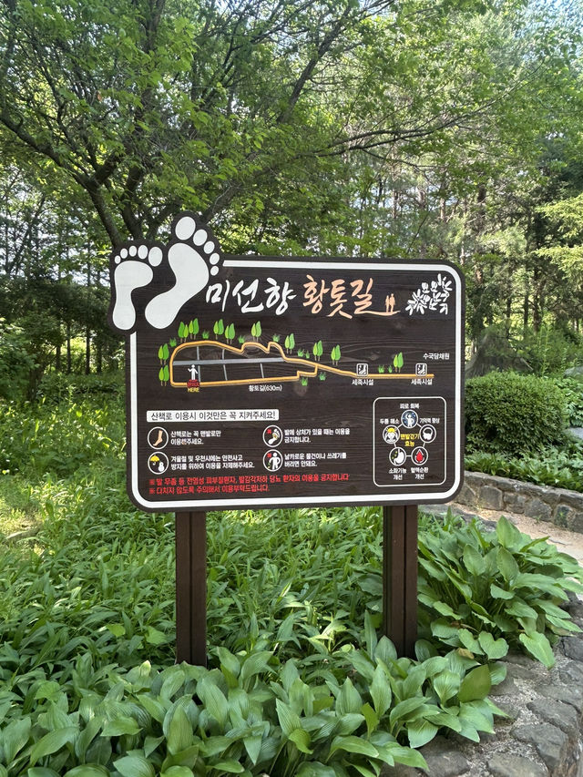 🌳 계절마다 아름다운 자연, 충북 산림환경연구소 (미동산수목원)