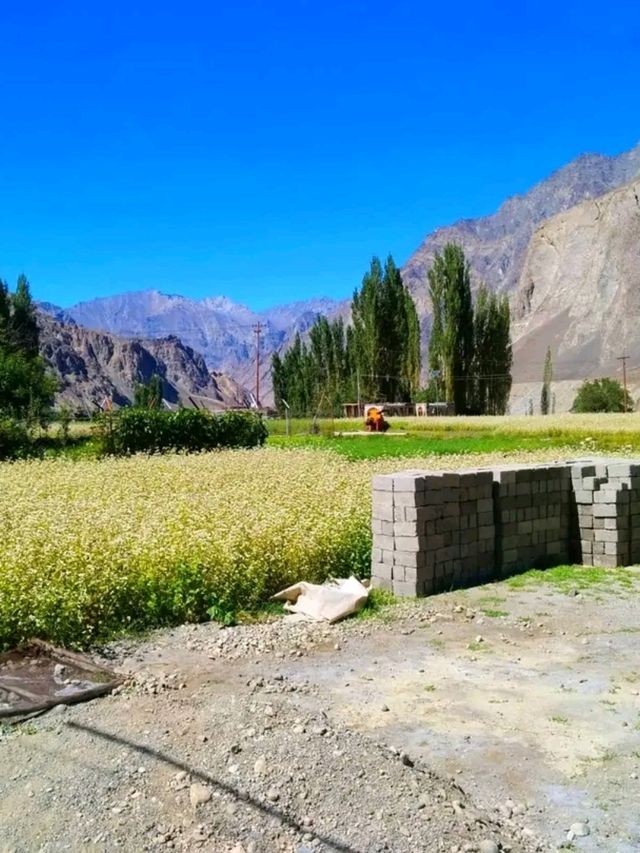 Turtuk Waterfall & Village – A Hidden Oasis in Ladakh